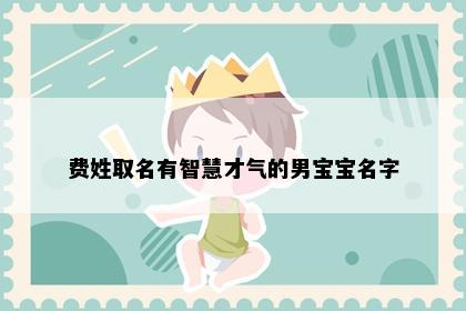 费姓取名有智慧才气的男宝宝名字